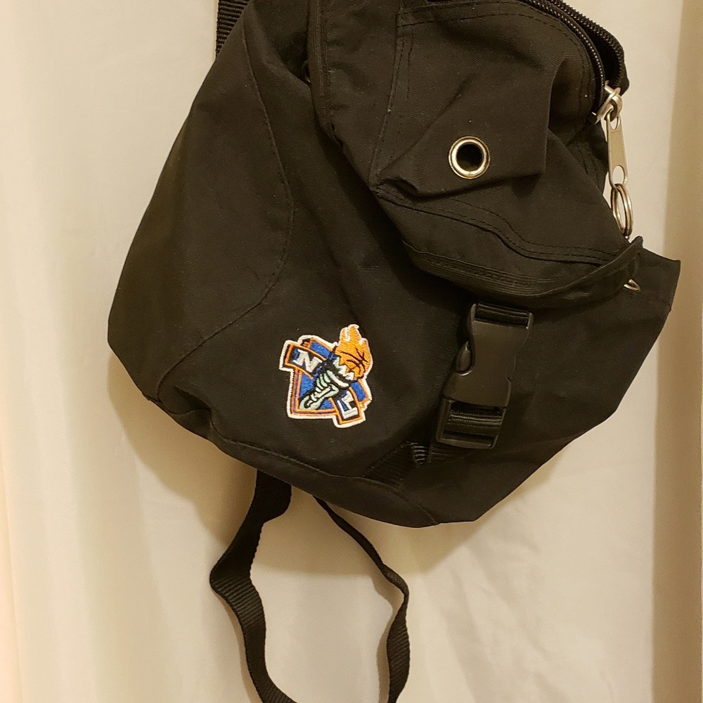 Lady Liberty back pack